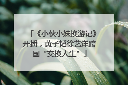 《小伙小妹换游记》开播，黄子韬徐艺洋跨国“交换人生”