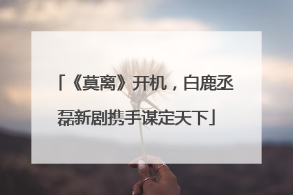 《莫离》开机，白鹿丞磊新剧携手谋定天下