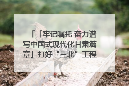 「牢记嘱托 奋力谱写中国式现代化甘肃篇章」打好“三北”工程攻坚战 筑牢国家西部生态安全屏障