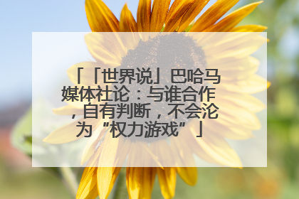 「世界说」巴哈马媒体社论：与谁合作，自有判断，不会沦为“权力游戏”