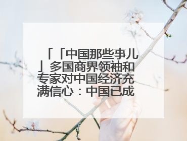 「中国那些事儿」多国商界领袖和专家对中国经济充满信心：中国已成为全球创新中心