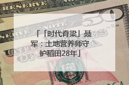 「时代脊梁」聂军：土地营养师守护稻田28年