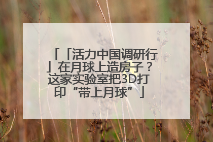「活力中国调研行」在月球上造房子？这家实验室把3D打印“带上月球”