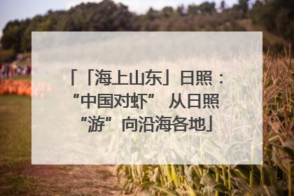 「海上山东」日照：“中国对虾” 从日照“游”向沿海各地
