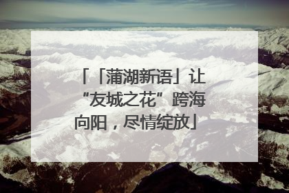 「蒲湖新语」让“友城之花”跨海向阳，尽情绽放