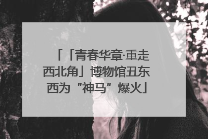 「青春华章·重走西北角」博物馆丑东西为“神马”爆火