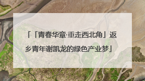 「青春华章·重走西北角」返乡青年谢凯龙的绿色产业梦