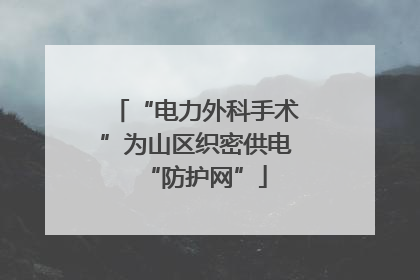 “电力外科手术”为山区织密供电“防护网”