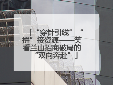 “穿针引线”“拼”接资源——笑看兰山招商破局的“双向奔赴”