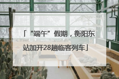 “端午”假期，衡阳东站加开28趟临客列车
