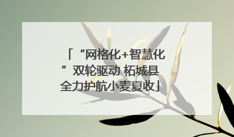 “网格化+智慧化”双轮驱动 柘城县全力护航小麦夏收