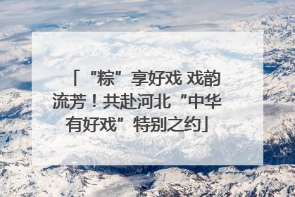 “粽”享好戏 戏韵流芳！共赴河北“中华有好戏”特别之约
