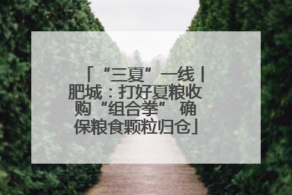“三夏”一线丨肥城：打好夏粮收购“组合拳” 确保粮食颗粒归仓
