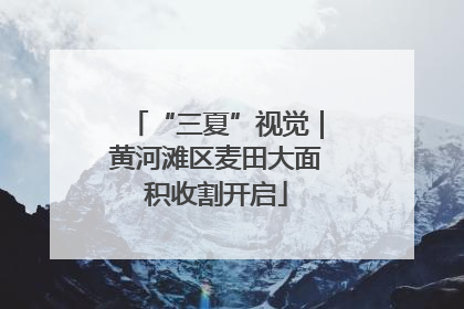 “三夏”视觉｜黄河滩区麦田大面积收割开启