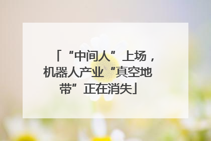 “中间人”上场，机器人产业“真空地带”正在消失