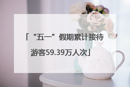 “五一”假期累计接待游客59.39万人次