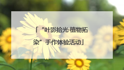 “叶影拾光·植物拓染”手作体验活动