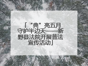 “典”亮五月 守护半边天——新野县法院开展普法宣传活动