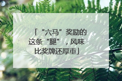 “六马”奖励的这条“腿”，风味比奖牌还厚重