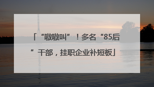 “嗷嗷叫”！多名“85后”干部，挂职企业补短板