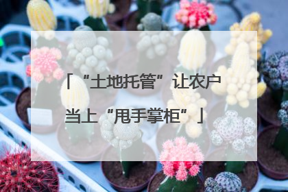 “土地托管”让农户当上“甩手掌柜”