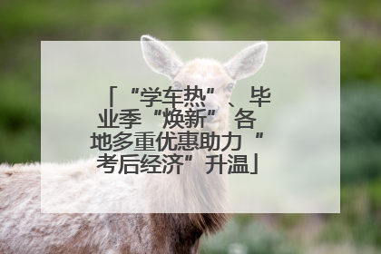 “学车热”、毕业季“焕新” 各地多重优惠助力“考后经济”升温