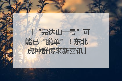“完达山一号”可能已“脱单”！东北虎种群传来新喜讯