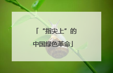 “指尖上”的中国绿色革命