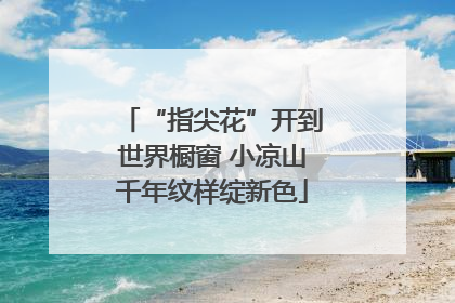 “指尖花”开到世界橱窗 小凉山千年纹样绽新色