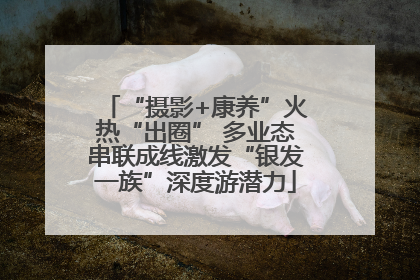 “摄影+康养”火热“出圈” 多业态串联成线激发“银发一族”深度游潜力