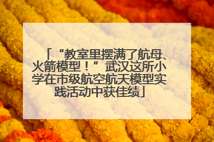 “教室里摆满了航母、火箭模型！”武汉这所小学在市级航空航天模型实践活动中获佳绩