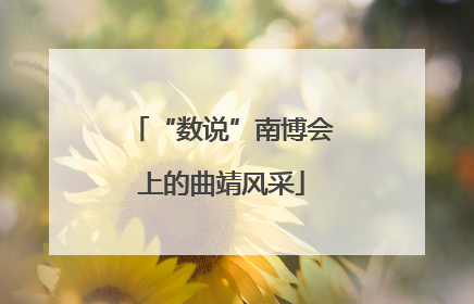 “数说”南博会上的曲靖风采