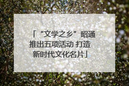 “文学之乡”昭通推出五项活动 打造新时代文化名片