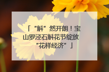 “斛”然开朗！宝山罗泾石斛花节绽放“花样经济”