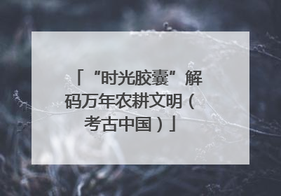 “时光胶囊”解码万年农耕文明（考古中国）