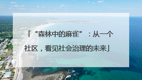 “森林中的麻雀”：从一个社区，看见社会治理的未来