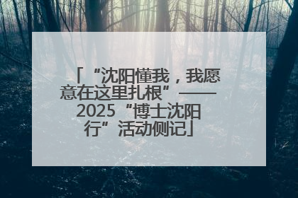 “沈阳懂我，我愿意在这里扎根”——2025“博士沈阳行”活动侧记
