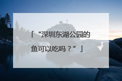 “深圳东湖公园的鱼可以吃吗？”