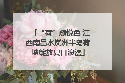 “荷”颜悦色 江西南昌水岚洲半岛荷塘绽放夏日浪漫