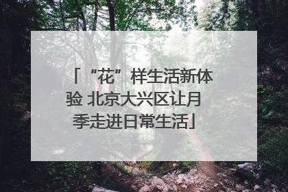 “花”样生活新体验 北京大兴区让月季走进日常生活