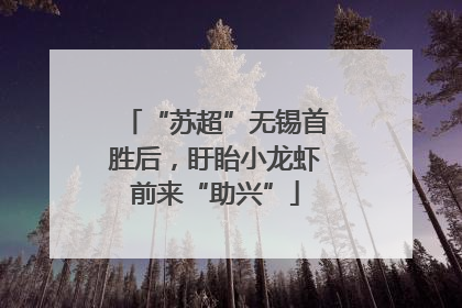 “苏超”无锡首胜后，盱眙小龙虾前来“助兴”