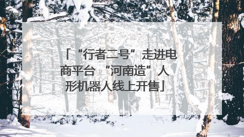 “行者二号”走进电商平台 “河南造”人形机器人线上开售