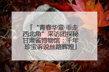 “青春华章·重走西北角”采访团探秘甘肃省博物馆：千年珍宝诉说丝路辉煌