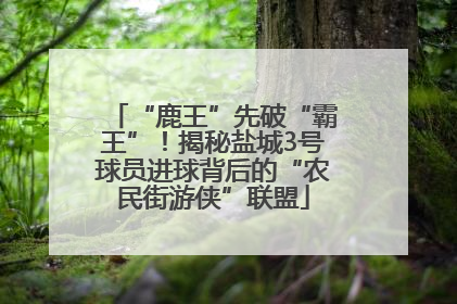 “鹿王”先破“霸王”！揭秘盐城3号球员进球背后的“农民街游侠”联盟