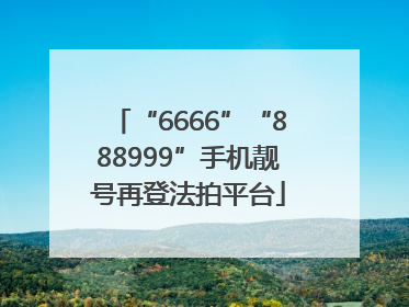 “6666”“888999”手机靓号再登法拍平台