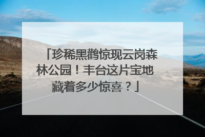 珍稀黑鹳惊现云岗森林公园！丰台这片宝地藏着多少惊喜？