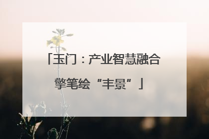 玉门：产业智慧融合 擎笔绘“丰景”