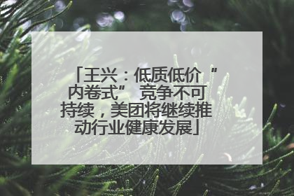 王兴：低质低价“内卷式” 竞争不可持续，美团将继续推动行业健康发展