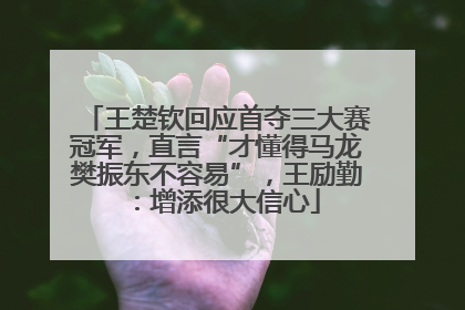 王楚钦回应首夺三大赛冠军，直言“才懂得马龙樊振东不容易”，王励勤：增添很大信心
