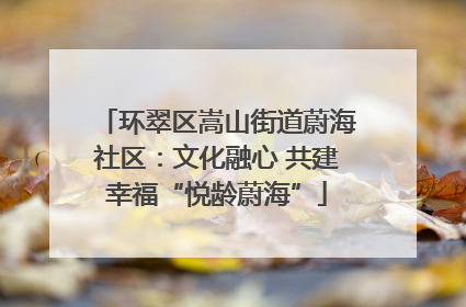 环翠区嵩山街道蔚海社区：文化融心 共建幸福“悦龄蔚海”